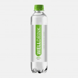 Напиток Welldrinк вкус Чай матэ и лимон-лайм 500мл