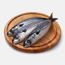 Скумбрия