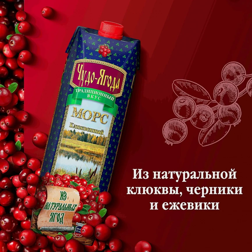 Морс Чудо-Ягода Клюквенный 970мл фото 2