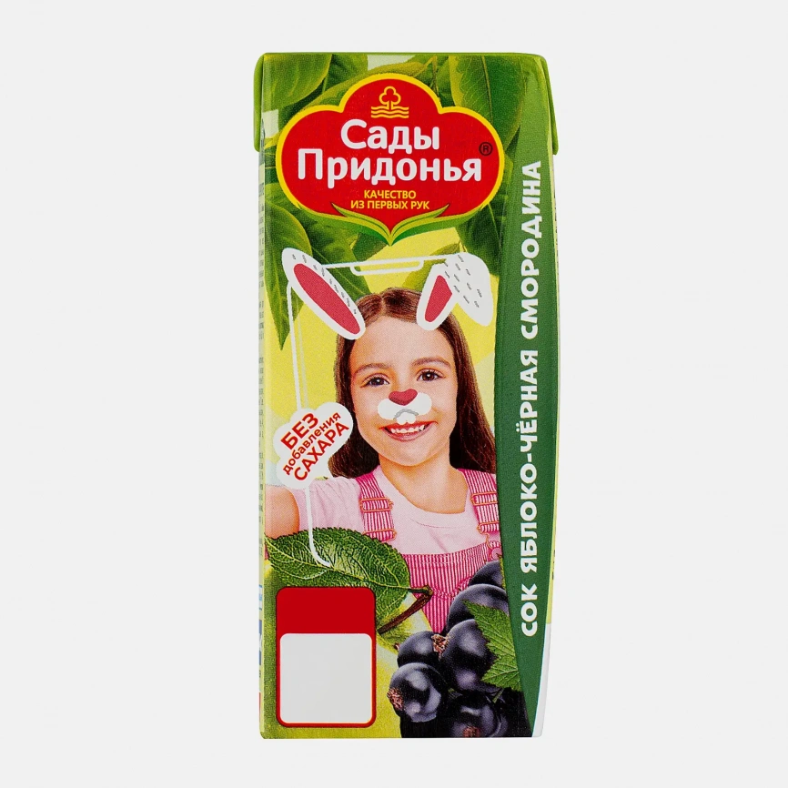 Сок Сады придонья Яблоко Черная смородина 200мл фото 1