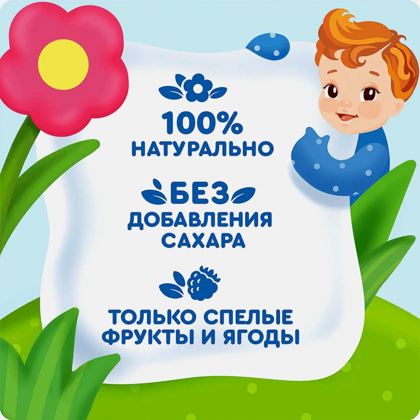 Детское фруктово-ягодное пюре Агуша Яблоко-ежевика-малина с 5 месяцев 90г фото 3