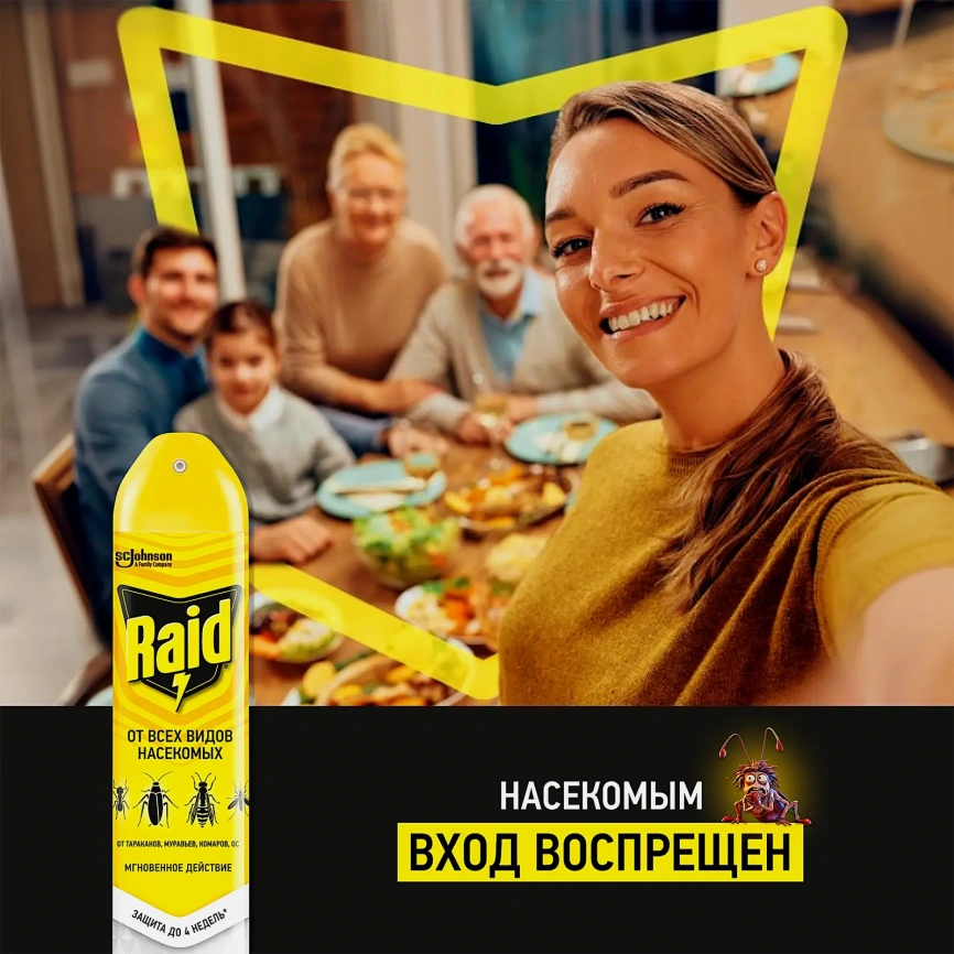 Аэрозоль от летающих и ползающих насекомых Raid 300мл фото 4