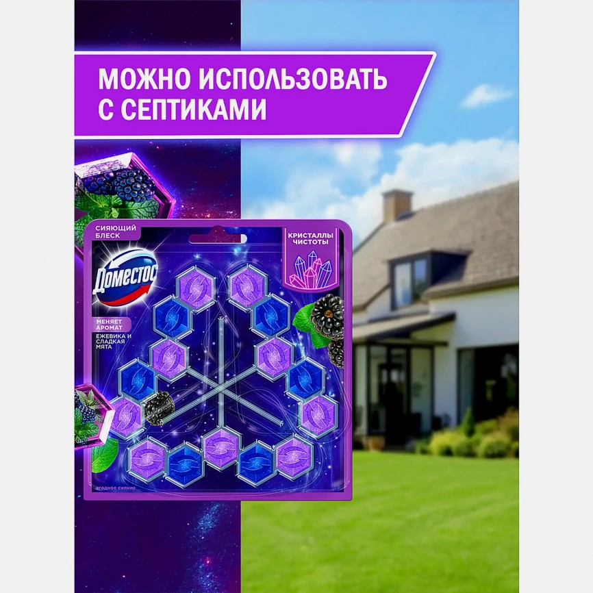 Блок для унитаза Кристаллы чистоты Ягодное сияние Доместос 3*50г фото 8