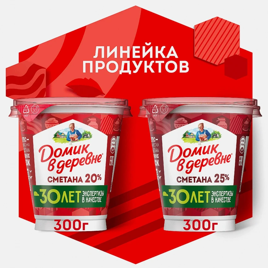Сметана Домик в Деревне 20% 300г фото 3