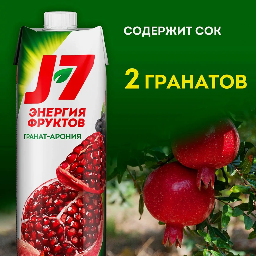 Нектар Гранат-черноплодная рябина J7 970мл фото 2