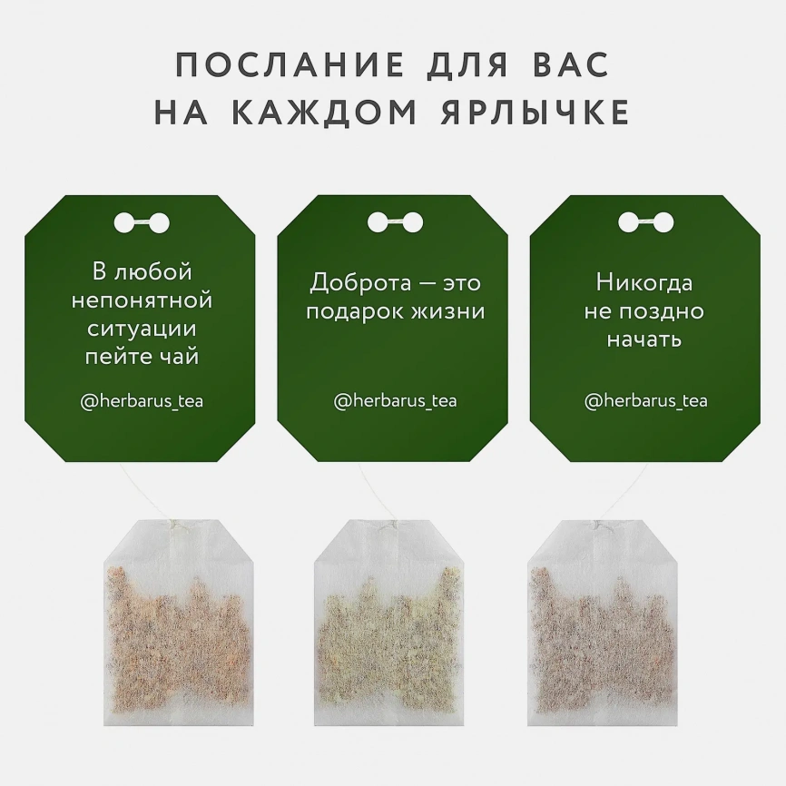 Чайный напиток Herbarus Спокойствие Баланс 24пак фото 3